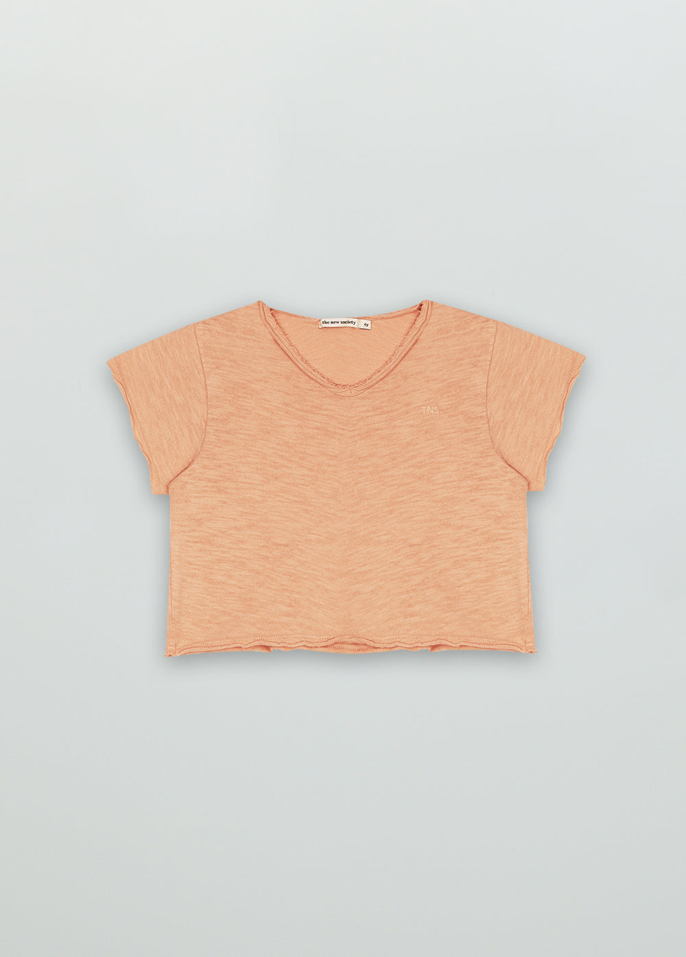 Color Tee Apricot